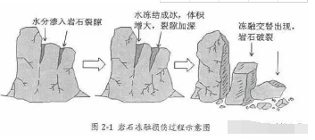 果园土壤改良方案 这回说的最靠谱！土壤管理是农业生产中非常重要的一环，对果园来说尤其重要。土壤质地、