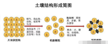 果园土壤改良方案 这回说的最靠谱！土壤管理是农业生产中非常重要的一环，对果园来说尤其重要。土壤质地、