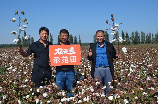 粒粒农夫情 颗颗寸草心！