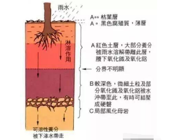 必看果园土壤改良最靠谱的方案！