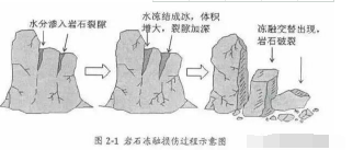 必看果园土壤改良最靠谱的方案！