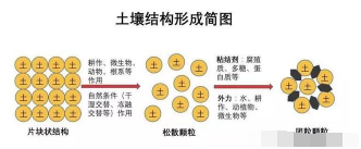 必看果园土壤改良最靠谱的方案！