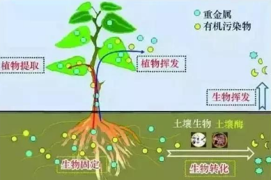 土壤板结问题，一次讲透了！