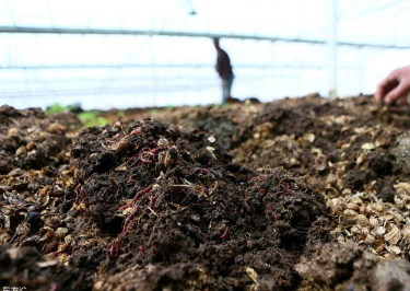讲透！土壤、腐植酸、微生物之间的关系