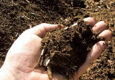 腐植酸肥料，根治“土壤病”，防控“土传病”