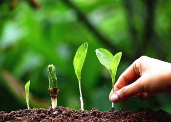 腐殖酸肥料：调控土壤微生物，改善土壤好帮手