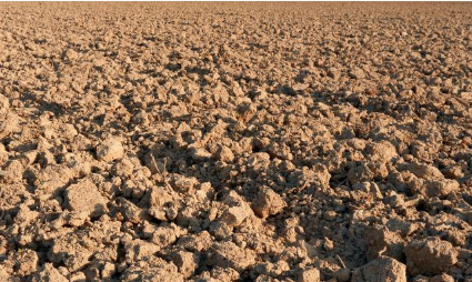 土壤“有机质下降”的后果，所有农业人都应该重视