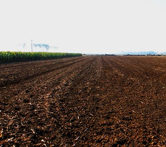 肥料土壤调理剂测定标准将实施
