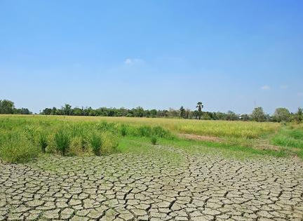 全球暖化临界点更近了 研究：土壤湿度是陆地吸碳力关键