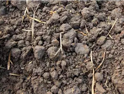 黏土、沙土、壤土、水田和旱地等不同土壤的特性，你都知道吗？