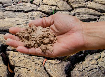化肥用的太多，土壤受到破坏！这种情况该怎么防治？