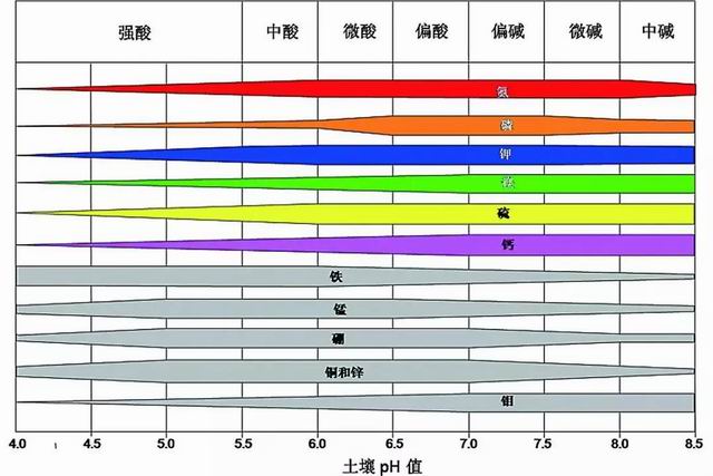 解决“被人类喂瘦了的土地”问题，治胃病更要治未病！