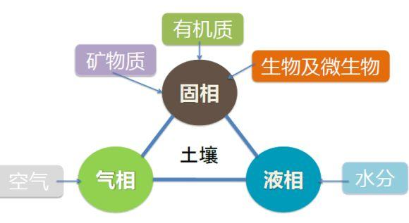 土壤越喂越瘦，四步方能搞定！