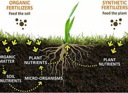 土壤含多少有机质才算正常？