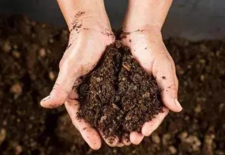 酸化、盐渍化、板结…蔬菜大棚土壤退化的原因分析