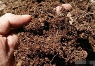 教你怎么判断土壤的酸碱性