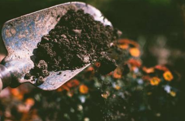 为什么土壤板结会给作物带来严重影响？你的救星在这！