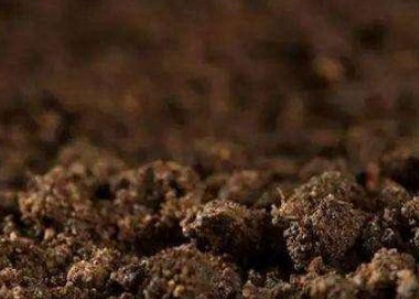 为什么土壤板结会给作物带来严重影响？你的救星在这！