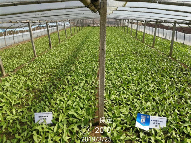 服务十万种植户、开万场会议、投入千万！只为“健康土壤”计划！
