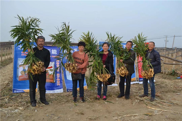 服务十万种植户、开万场会议、投入千万！只为“健康土壤”计划！