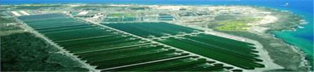碳氢科学1200问之003组：从冰河时代到先锋物种