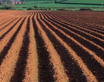 土壤是作物的“养分库”，为什么还要施肥呢？