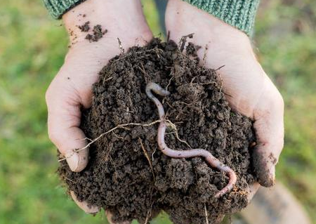 土壤肥力与施肥的关系是什么？