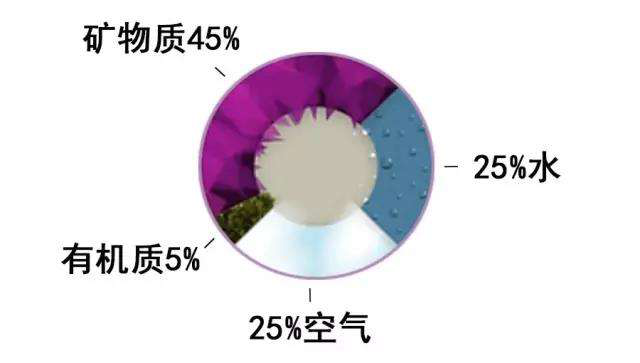 碳氢科学1200问之007组：从土壤物质到土壤成因