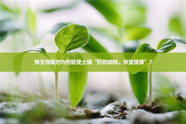 碳氢科学1200问之007组：从土壤物质到土壤成因