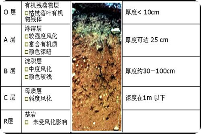 碳氢科学1200问之008组：从土壤污染悲剧到二氧化碳灾难