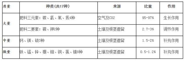 碳氢科学1200问之009组：从卡尔文循环到景天酸代谢