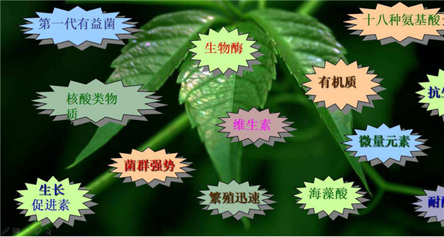 碳氢科学1200问之011组：从医用卵磷脂到碳氢大市场