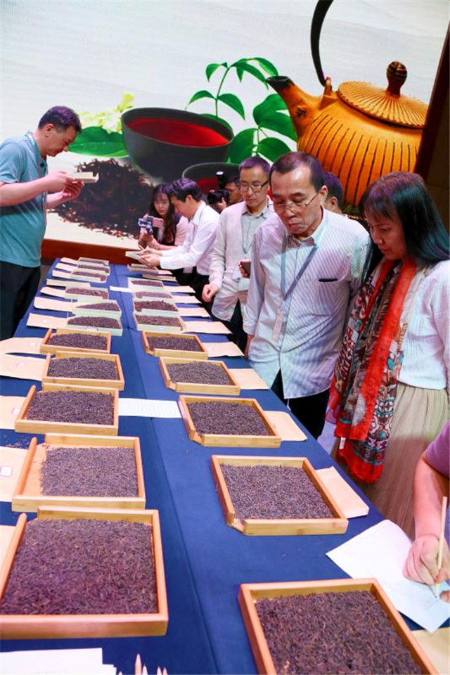 中国（广西）六堡茶斗茶大会在南宁举行