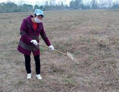 土壤为何会呈现“病态”？病根是啥？何种方式能改良“病态”土壤