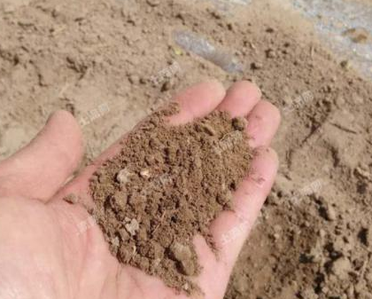 土壤为何会呈现“病态”？病根是啥？何种方式能改良“病态”土壤