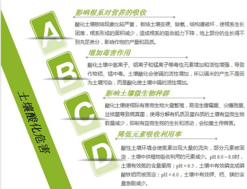 土壤酸化原因、危害及改良措施