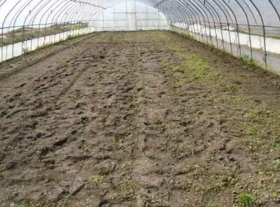 大棚土壤为什么出现板结问题？记住几点就能改善又能使农作物高产