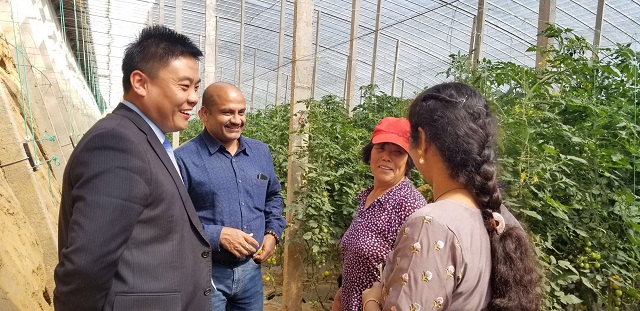 印度客商在巧棵力基地种下友谊之树