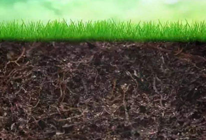 土壤提高肥力全靠腐殖酸？为什么？