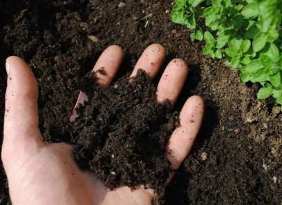 土壤肥力的提高，少不了它的帮助