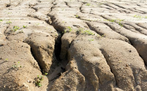 土壤污染才是抑制农业增产的“罪魁祸首”