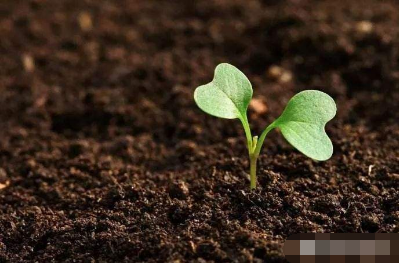 鉴定土壤活性微生物只需几小时 