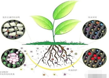 超级实用的土壤改良方法！人手一份