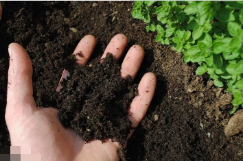 土壤肥力衰退，土壤恶化后怎样施肥？