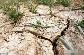 土壤为何越改越差，究竟有什么办法能拯救？
