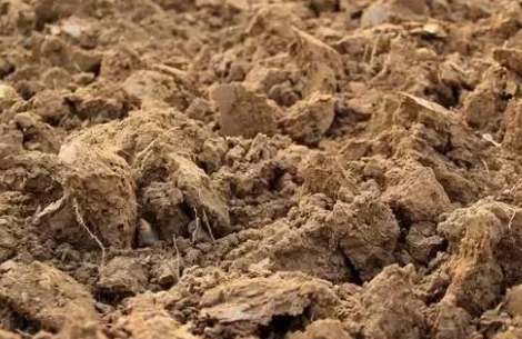 八问“土壤调理剂”：是忽悠还是真有料？