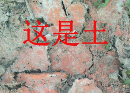 土壤病了，你用再多的肥料都是白瞎！