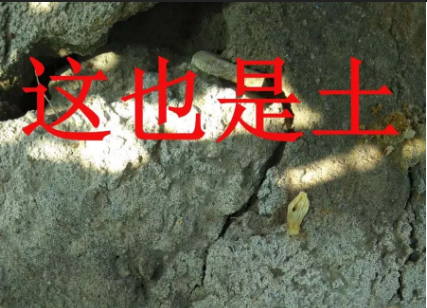 土壤病了，你用再多的肥料都是白瞎！