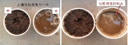 土壤病了，你用再多的肥料都是白瞎！