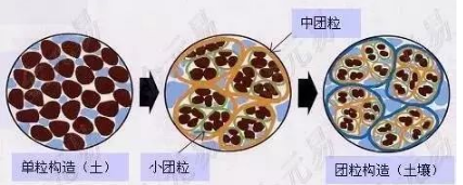 土壤病了，你用再多的肥料都是白瞎！